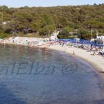 Spartaia beach Procchio